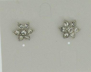 EARRINGS PIN