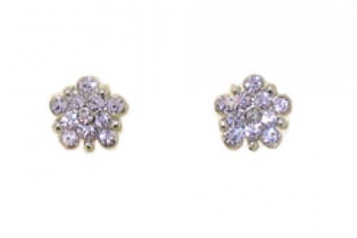 EARRINGS (PIN)