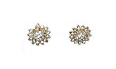 EARRINGS (PIN)