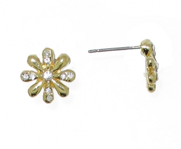 EARRINGS (PIN)