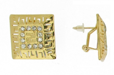 EARRINGS PIN (WITH EUROCLIP)